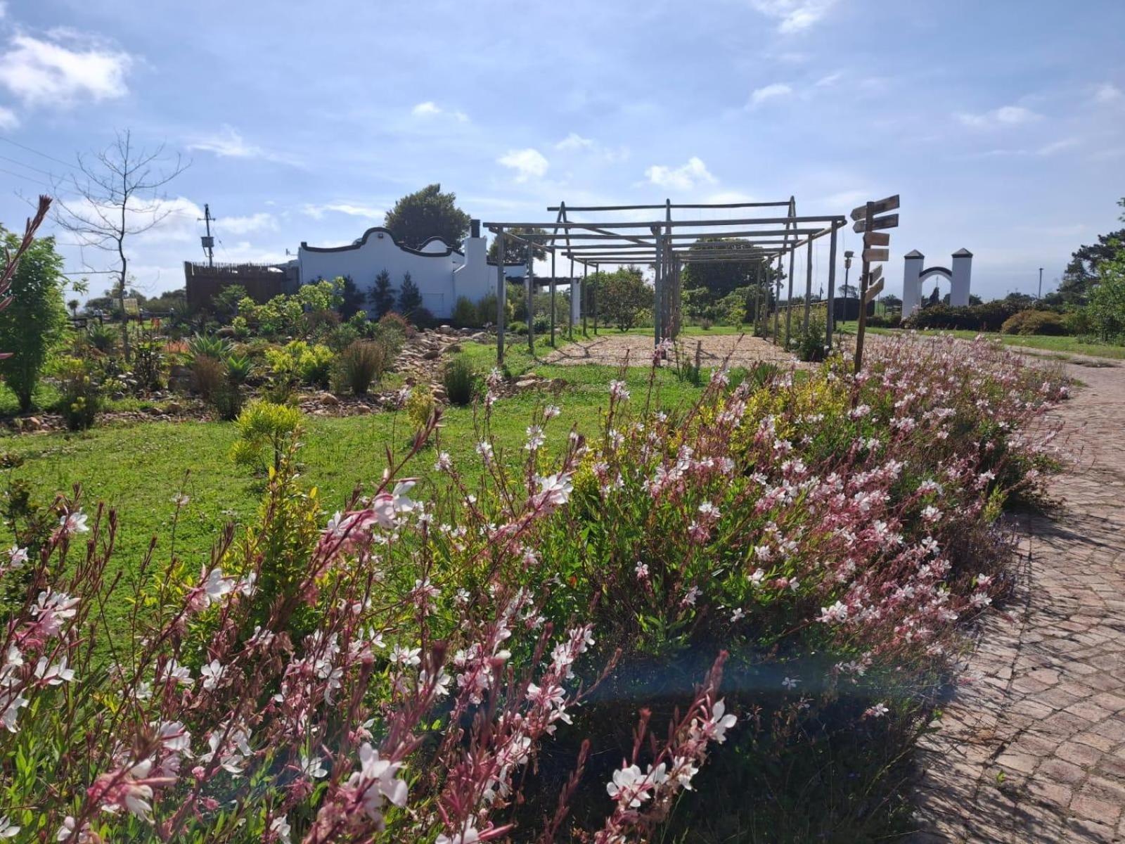 Апартаменты Dunkes Organic Equestrian Estate Джордж Экстерьер фото