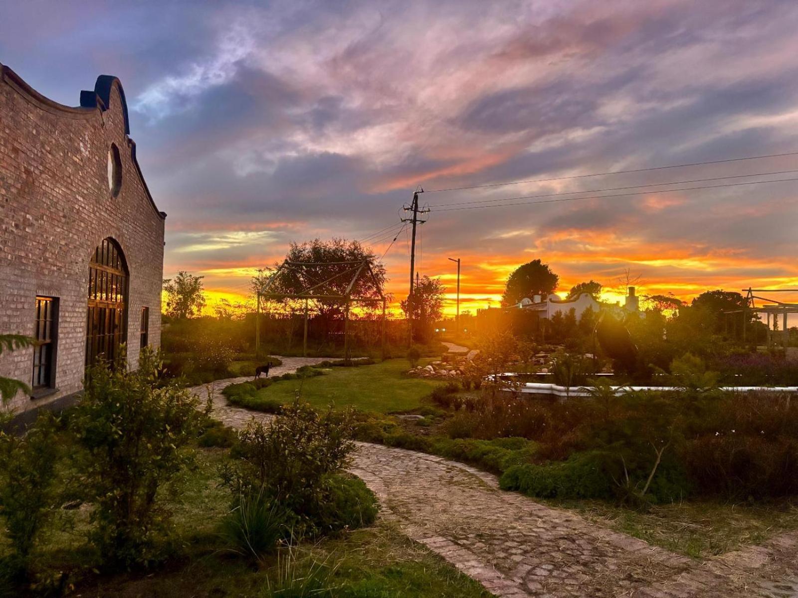 Апартаменты Dunkes Organic Equestrian Estate Джордж Экстерьер фото